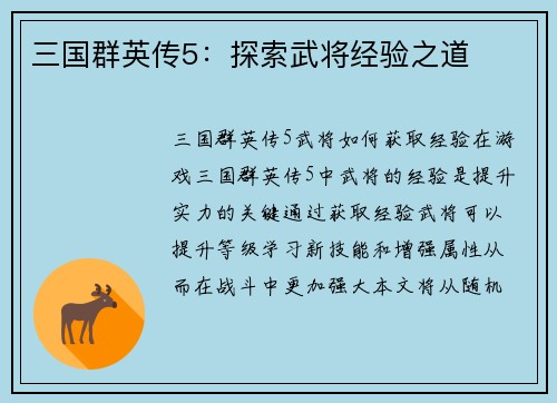 三国群英传5：探索武将经验之道